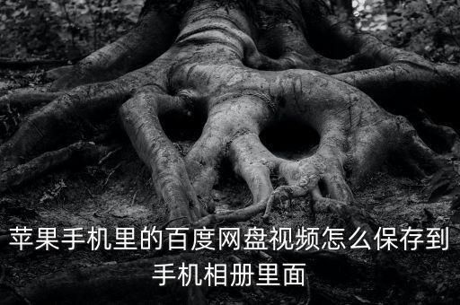 蘋果百度云轉存數(shù)據(jù),蘋果手機用百度云下載視頻去哪兒了?