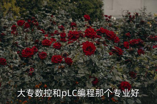 大專數(shù)控和pLC編程那個(gè)專業(yè)好