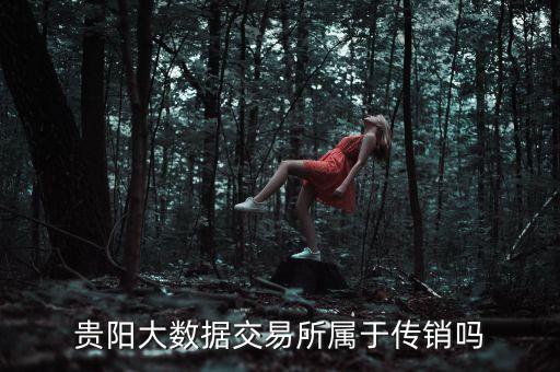 貴州100家大數(shù)據(jù)企業(yè),貴州大數(shù)據(jù)產(chǎn)業(yè)有哪些?