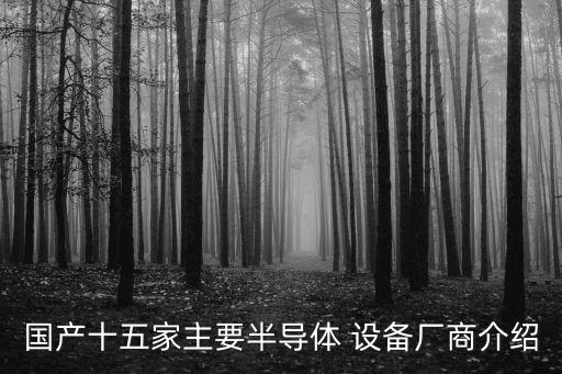 國(guó)產(chǎn)十五家主要半導(dǎo)體 設(shè)備廠商介紹