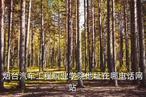 煙臺汽車工程職業(yè)學院地址在哪電話網(wǎng)站