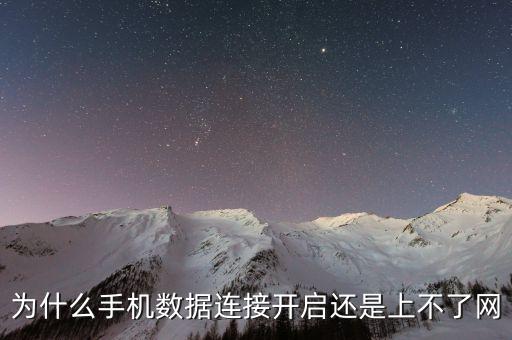 為什么手機數(shù)據(jù)連接開啟還是上不了網