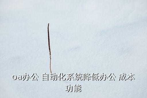 oa辦公 自動(dòng)化系統(tǒng)降低辦公 成本功能