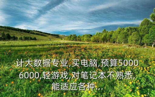 跑大數(shù)據(jù)的電腦,大數(shù)據(jù)專業(yè)的買什么電腦?