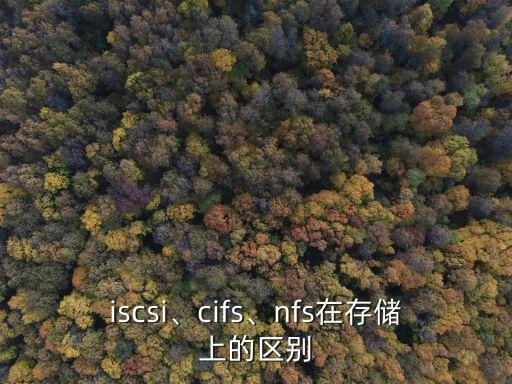 共享存儲(chǔ),共享存儲(chǔ)是什么意思?