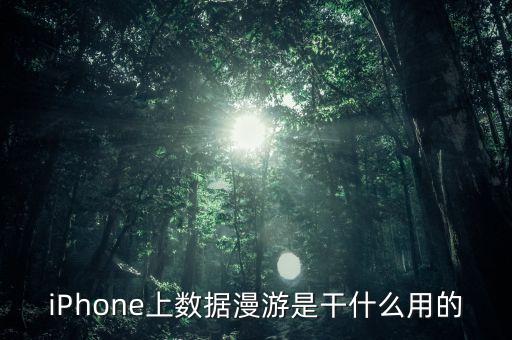 蘋果數(shù)據(jù)漫游要不要打開,蘋果數(shù)據(jù)漫游怎么開?