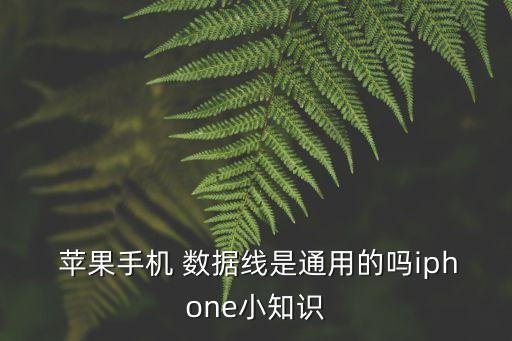  蘋果手機(jī) 數(shù)據(jù)線是通用的嗎iphone小知識