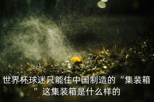 世界杯球迷只能住中國制造的“集裝箱”這集裝箱是什么樣的