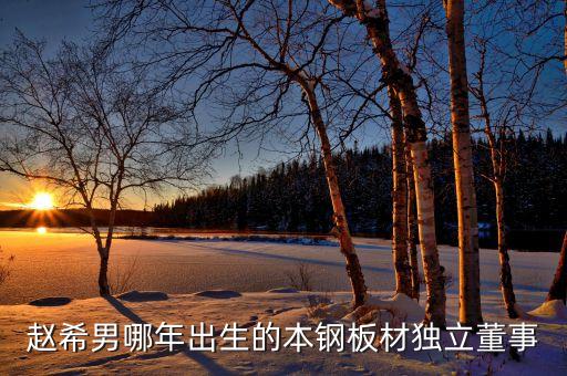 本鋼板材自動化公司,本鋼板材同屬北京鋼鐵集團所屬公司