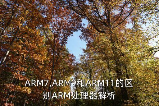 ARM7,ARM9和ARM11的區(qū)別ARM處理器解析
