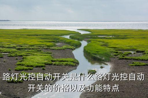 路燈光控自動(dòng)開關(guān)是什么路燈光控自動(dòng)開關(guān)的價(jià)格以及功能特點(diǎn)