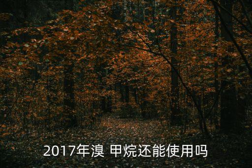 2017年溴 甲烷還能使用嗎