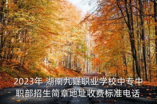 2023年 湖南九嶷職業(yè)學(xué)校中專中職部招生簡章地址收費(fèi)標(biāo)準(zhǔn)電話