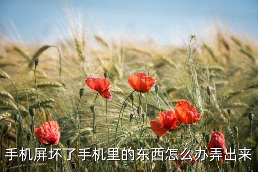 手機(jī)屏壞了手機(jī)里的東西怎么辦弄出來