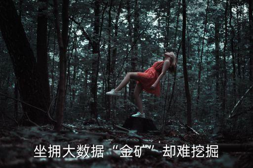 坐擁大數(shù)據(jù)“金礦”卻難挖掘