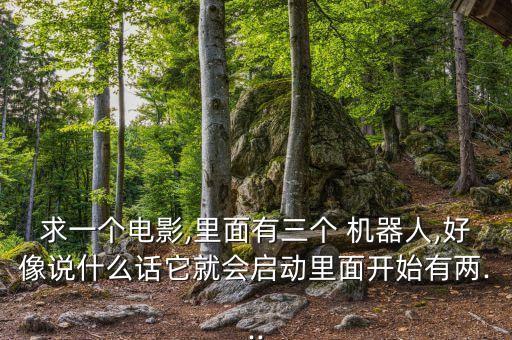 求一個(gè)電影,里面有三個(gè) 機(jī)器人,好像說什么話它就會(huì)啟動(dòng)里面開始有兩...