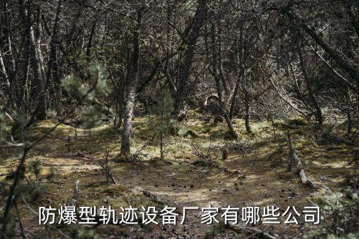 防爆型軌跡設備廠家有哪些公司