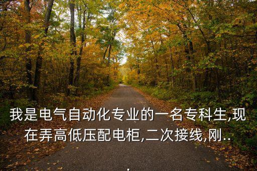 我是電氣自動化專業(yè)的一名?？粕?現(xiàn)在弄高低壓配電柜,二次接線,剛...