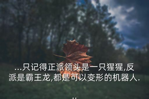 beast機(jī)器人圖片,變形金剛!原來是機(jī)器人!