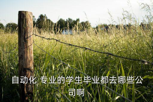  自動(dòng)化 專業(yè)的學(xué)生畢業(yè)都去哪些公司啊