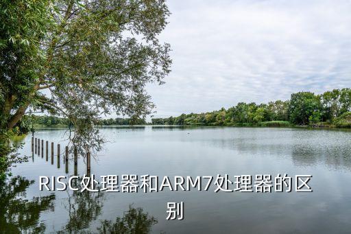 RISC處理器和ARM7處理器的區(qū)別