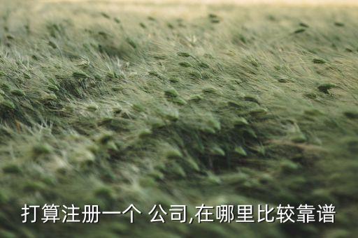 打算注冊一個 公司,在哪里比較靠譜
