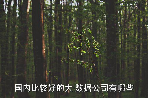 國內(nèi)比較好的大 數(shù)據(jù)公司有哪些