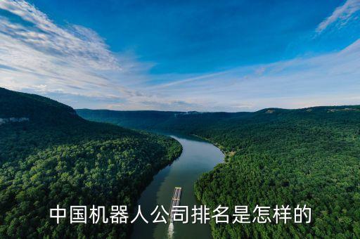 中國機(jī)器人公司排名是怎樣的