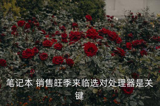 筆記本 銷售旺季來臨選對(duì)處理器是關(guān)鍵