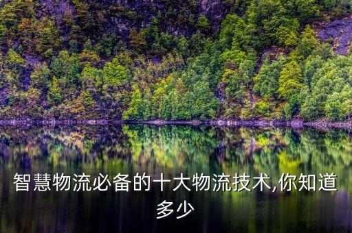 智慧物流必備的十大物流技術(shù),你知道多少