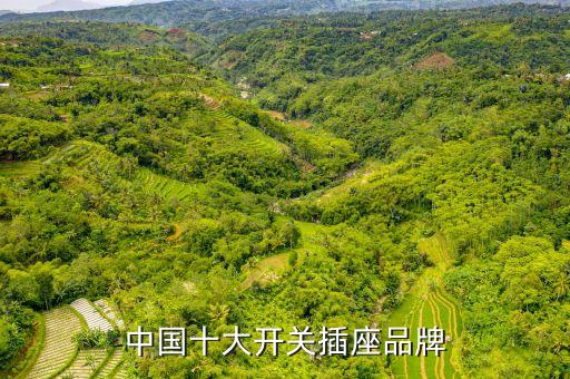 中國十大開關(guān)插座品牌
