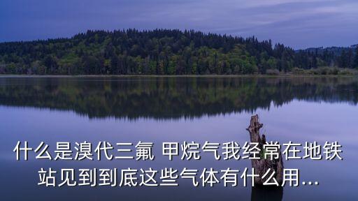 什么是溴代三氟 甲烷氣我經(jīng)常在地鐵站見到到底這些氣體有什么用...