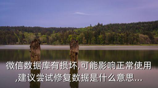 微信數(shù)據(jù)庫有損壞,可能影響正常使用,建議嘗試修復(fù)數(shù)據(jù)是什么意思...