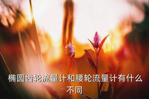  橢圓齒輪流量計和腰輪流量計有什么不同
