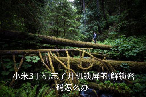  小米3手機忘了開機鎖屏的 解鎖密碼怎么辦