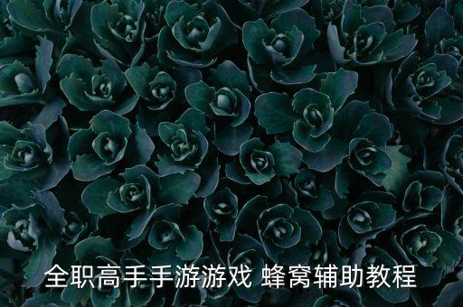 ios 搶紅包一號 蜂窩數(shù)據(jù)
