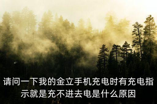 請(qǐng)問(wèn)一下我的金立手機(jī)充電時(shí)有充電指示就是充不進(jìn)去電是什么原因