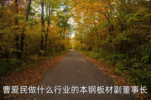 曹愛民做什么行業(yè)的本鋼板材副董事長(zhǎng)