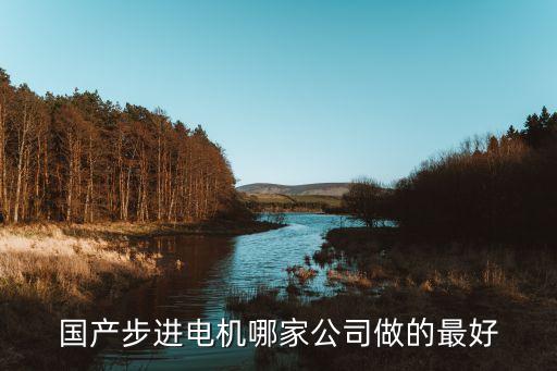 國產(chǎn)步進電機哪家公司做的最好