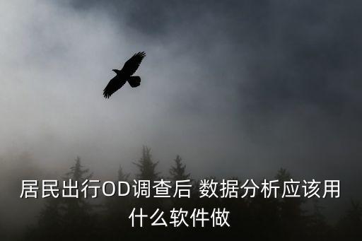 居民出行OD調(diào)查后 數(shù)據(jù)分析應(yīng)該用什么軟件做