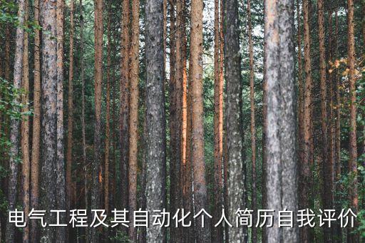 電氣工程及其自動化個(gè)人簡歷自我評價(jià)