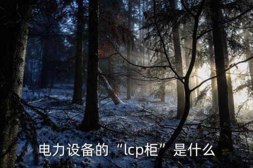 電力設(shè)備的“l(fā)cp柜”是什么