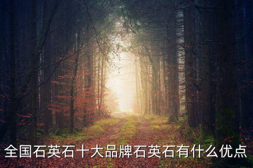 全國(guó)石英石十大品牌石英石有什么優(yōu)點(diǎn)