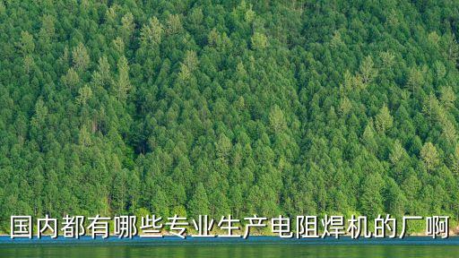 國內(nèi)都有哪些專業(yè)生產(chǎn)電阻焊機(jī)的廠啊