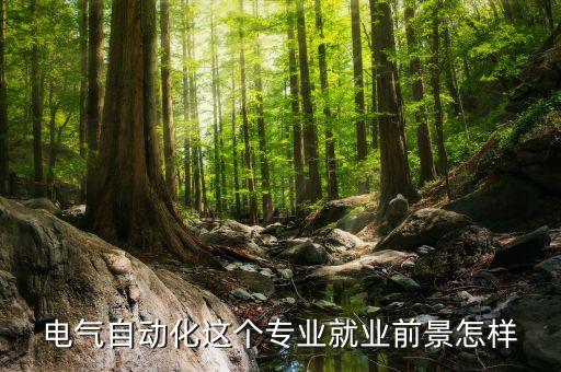 電氣自動化這個專業(yè)就業(yè)前景怎樣