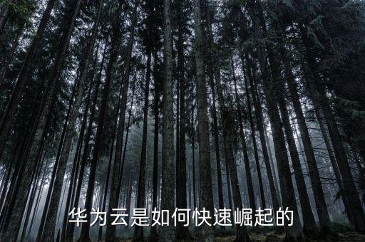 華為云是如何快速崛起的