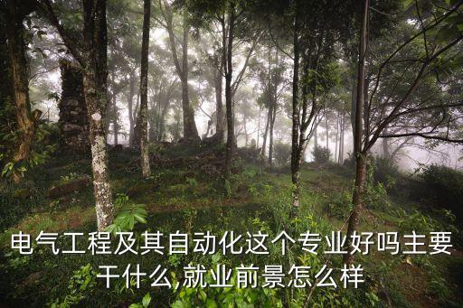 電氣工程及其自動(dòng)化這個(gè)專業(yè)好嗎主要干什么,就業(yè)前景怎么樣