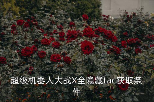 超級機器人大戰(zhàn)X全隱藏tac獲取條件