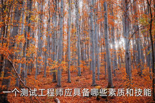一個(gè)測(cè)試工程師應(yīng)具備哪些素質(zhì)和技能