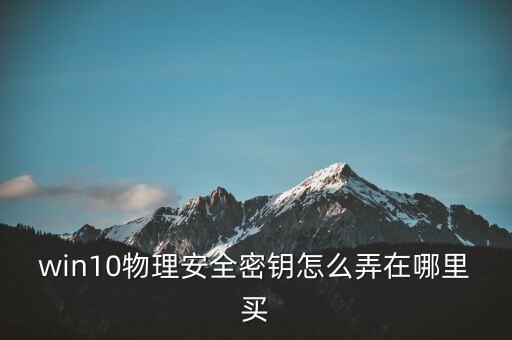 win10物理安全密鑰怎么弄在哪里買